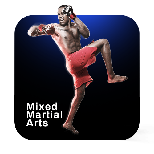 Learn Mixed Martial Arts