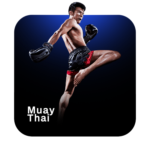Muay Thai Training Videos