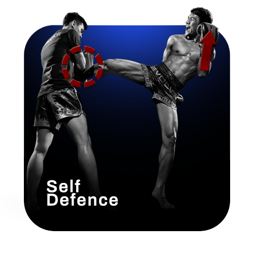 Self Defence Classes Online