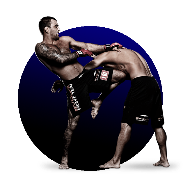 Watch Trending Videos